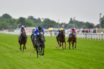 190523-Race 5-Mostabshir-0896