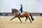 SBM_006203_Class 7 - FEI INT I