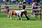SBM_03406
