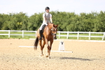 SBM_002796