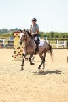 SBM_006271