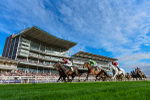 230923-Race 5-Vintage Clarets-3323