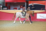 SBM_09448