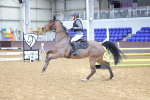 SBM_009531