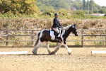 SBM_000818