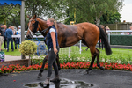 030726-Race 4-Midnight Strike-2380