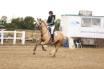 SBM_008707