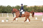 SBM_005503