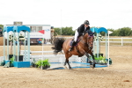 SBM_018817