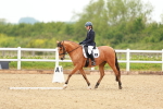 SBM_004909