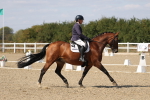 SBM_022496
