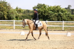 SBM_003593