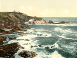 Lizard Point 4