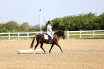 SBM_007479