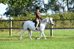 SBM_53977