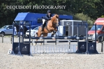 BPP_7963