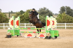 SBM_03681