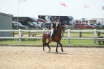 SBM_011736