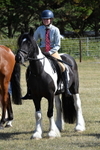 WJ5_4635