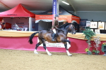 SBM_06367
