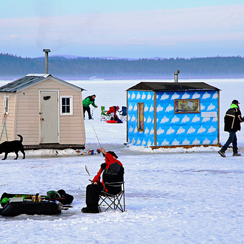 A fisherwoman catches a smelt, one dog checks out another, a fisherman prepares his hole, a sportsman walks with thru…
