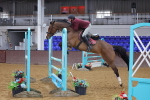 SBM_008905