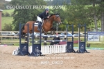 BPP_0802