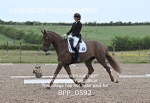 BPP_0592