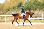 SBM_012162