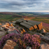 Higger Heather