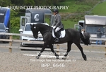 BPP_6646