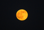 THE MOON