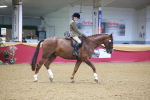 SBM_10655