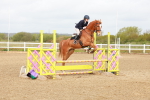 Class 7 - Clear Round portfolio