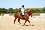 SBM_011798