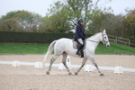 Unaffiliated Dressage portfolio