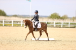 SBM_008453