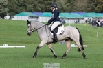 619-GARVAGH.GOLDEN.OAK-Ella.Snow-DR portfolio