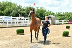Trot Up 1pm to 2pm portfolio