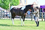 SBM_12170