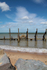 Norfolk coast