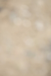 SBM_004818