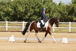SBM_000403