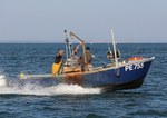 130905 PE755 WT7A5169