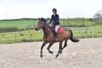BPP_4011