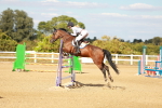 SBM_007683
