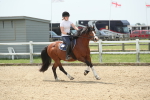 SBM_011646