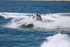 180805 AF-8311 - SEADOO 1Y3A8047
