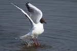 20120324-_MG_9807