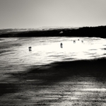 Shadows on the Sand (square format)